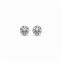 Puces cristal – très grand angle fond blanc