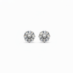 Puces cristal – très grand angle fond blanc